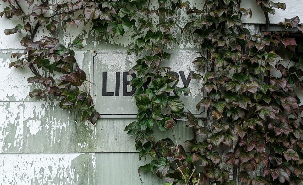 Ivy League History - Ivy growing up the walls of a university Library.