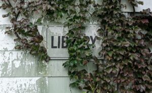 Ivy League History - Ivy growing up the walls of a university Library.